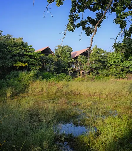 Luxury Family Cottages