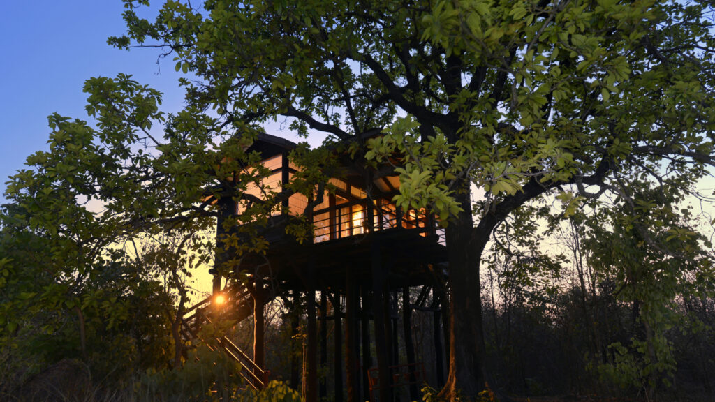 Pench tree house