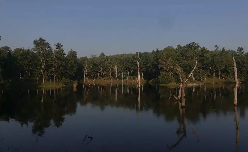 Seasons of Pench National Park
