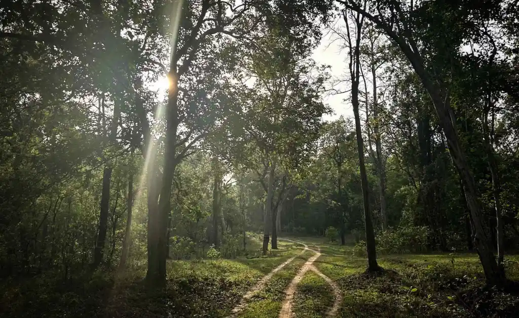 Rukhad Sanctuary forest landscape in Pench