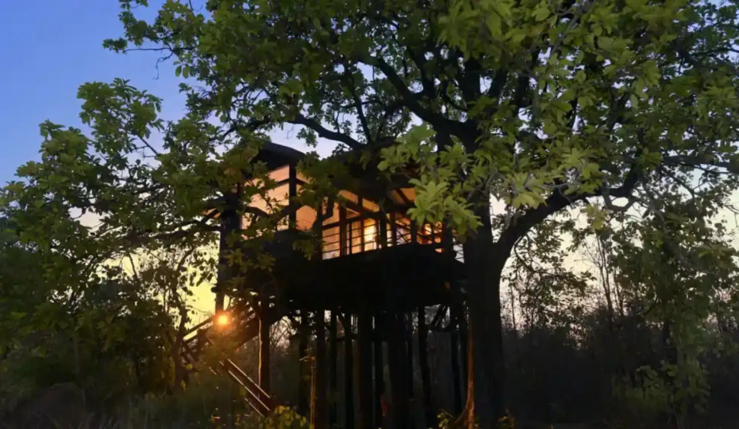 Pench Tree Lodge