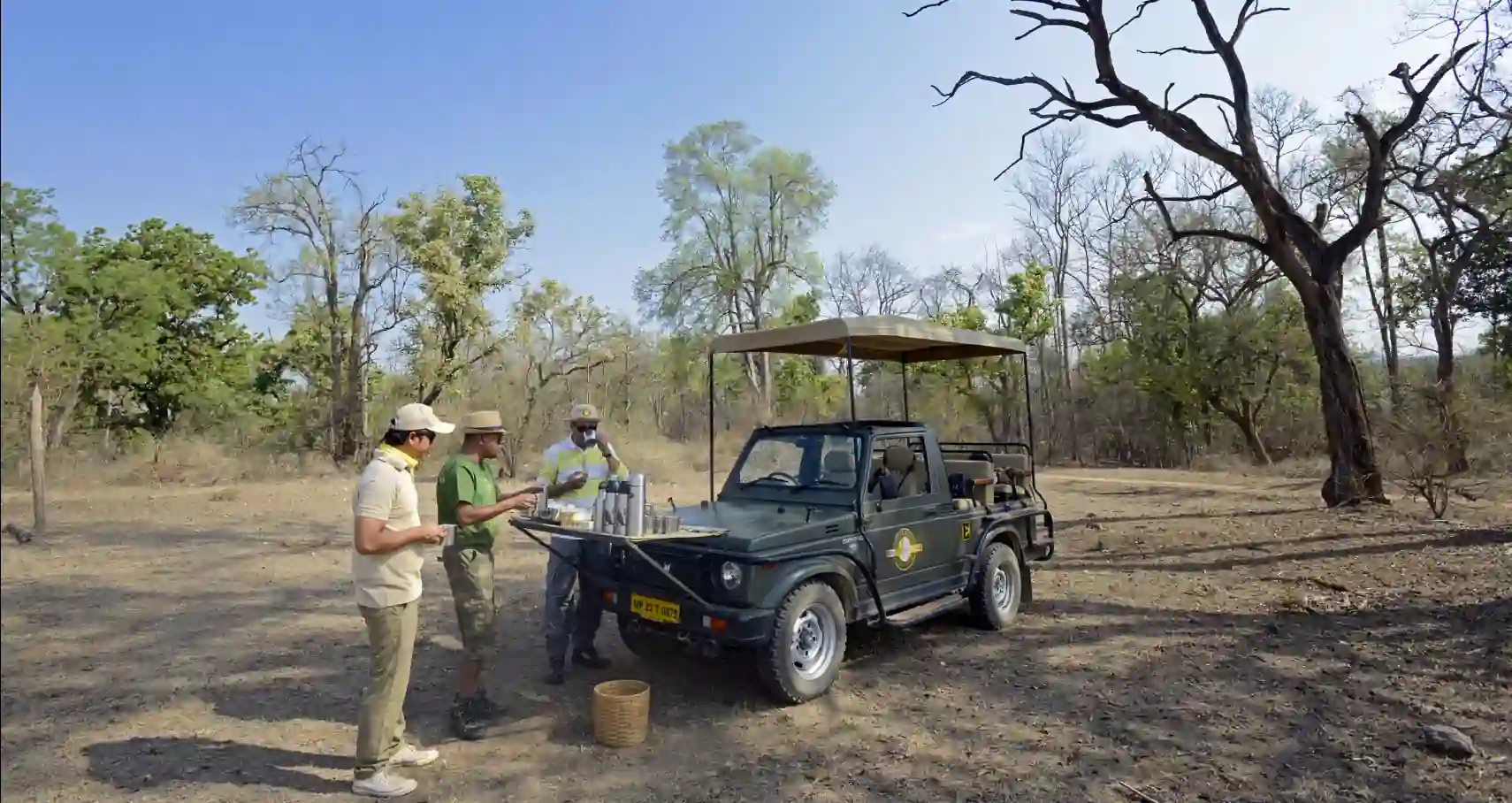 Jeep safari with guests in Pench National Park