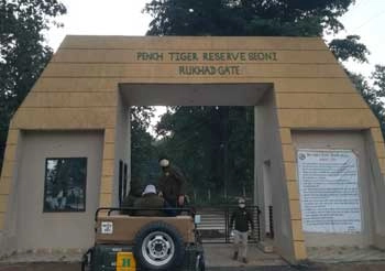 tiger safari