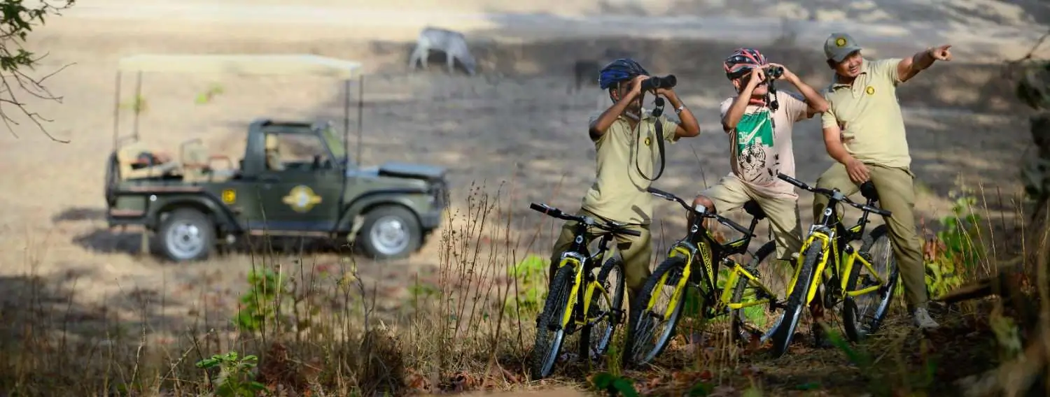 Guest cycling during a wildlife safari experience in Pench