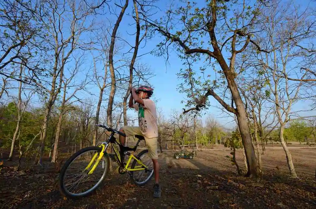Cycling experience in the forest near Pench Tree Lodge