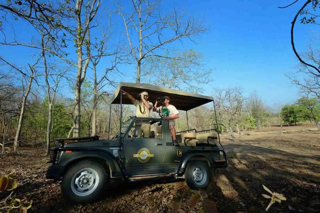Jeep safari experience in Pench National Park