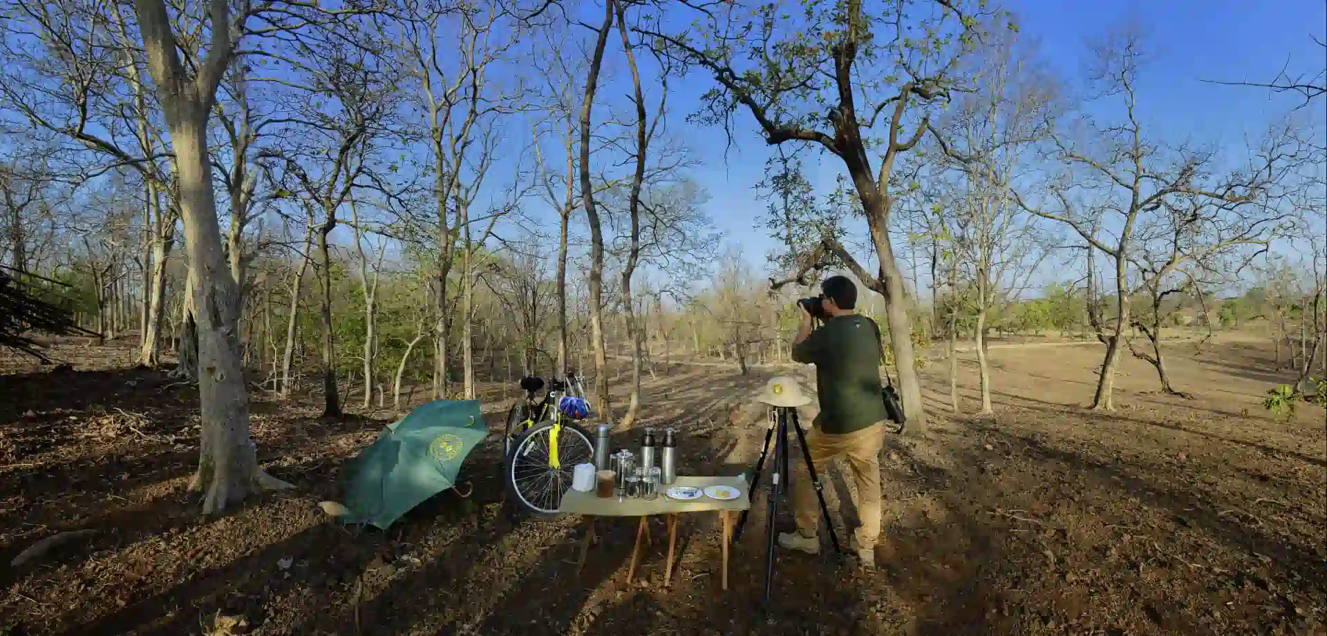 Outdoor nature experience at Pench Tree Lodge