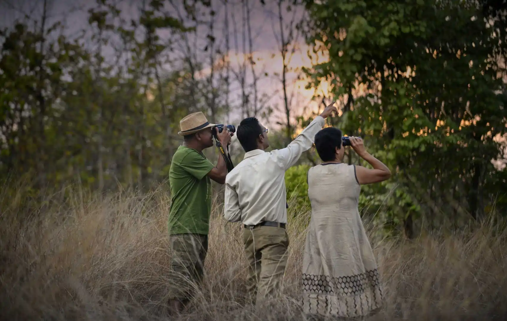 Naturalist-led nature walk in Pench