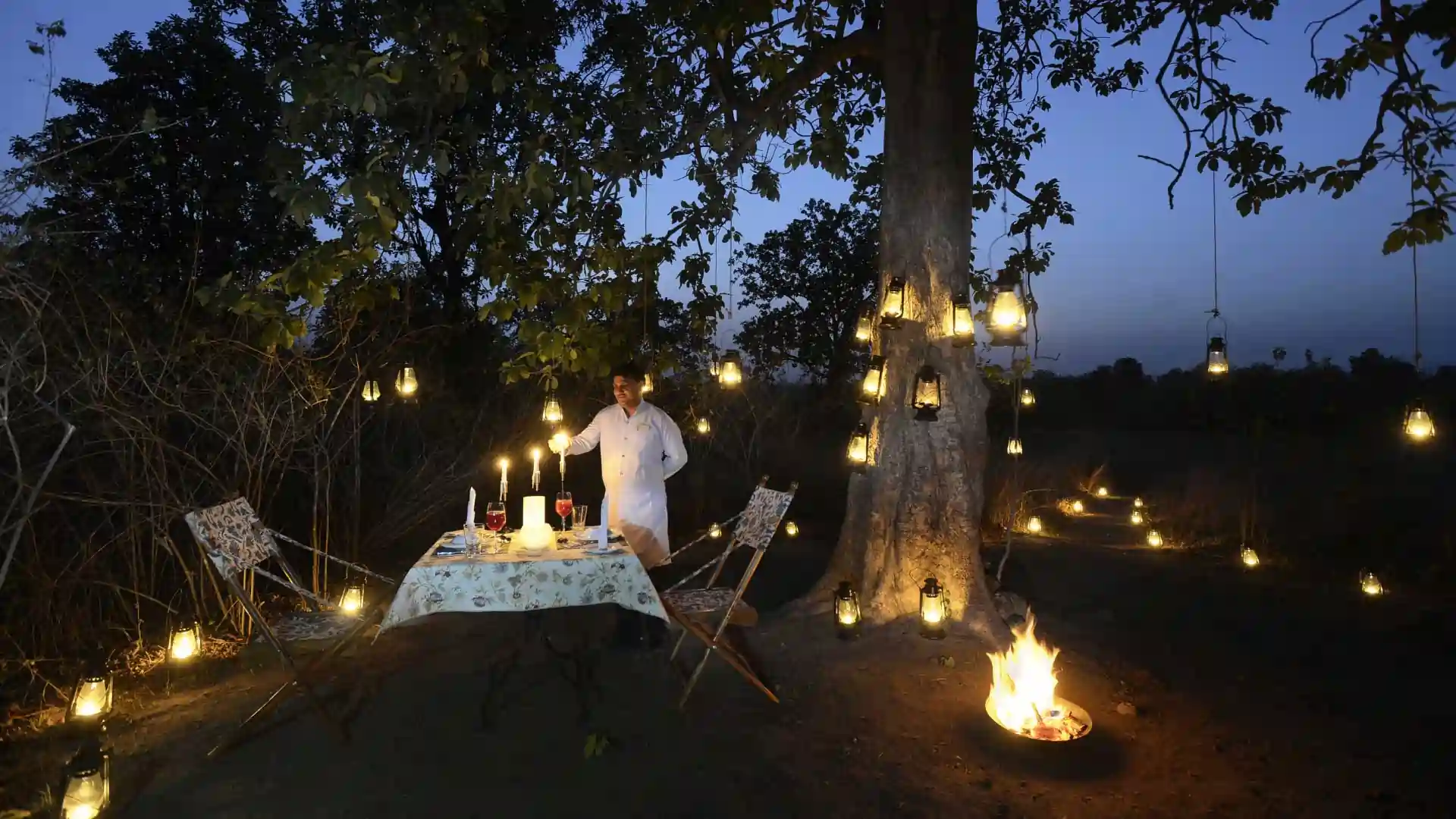 Outdoor dinner under the trees at Pench Tree Lodge