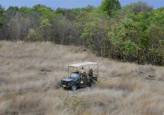 Jeep Safaris