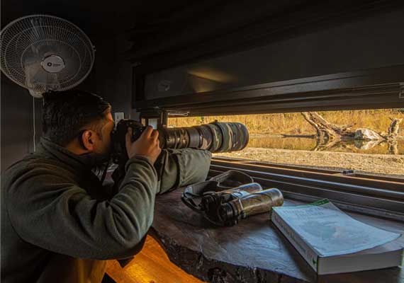 Wildlife Photography Hide