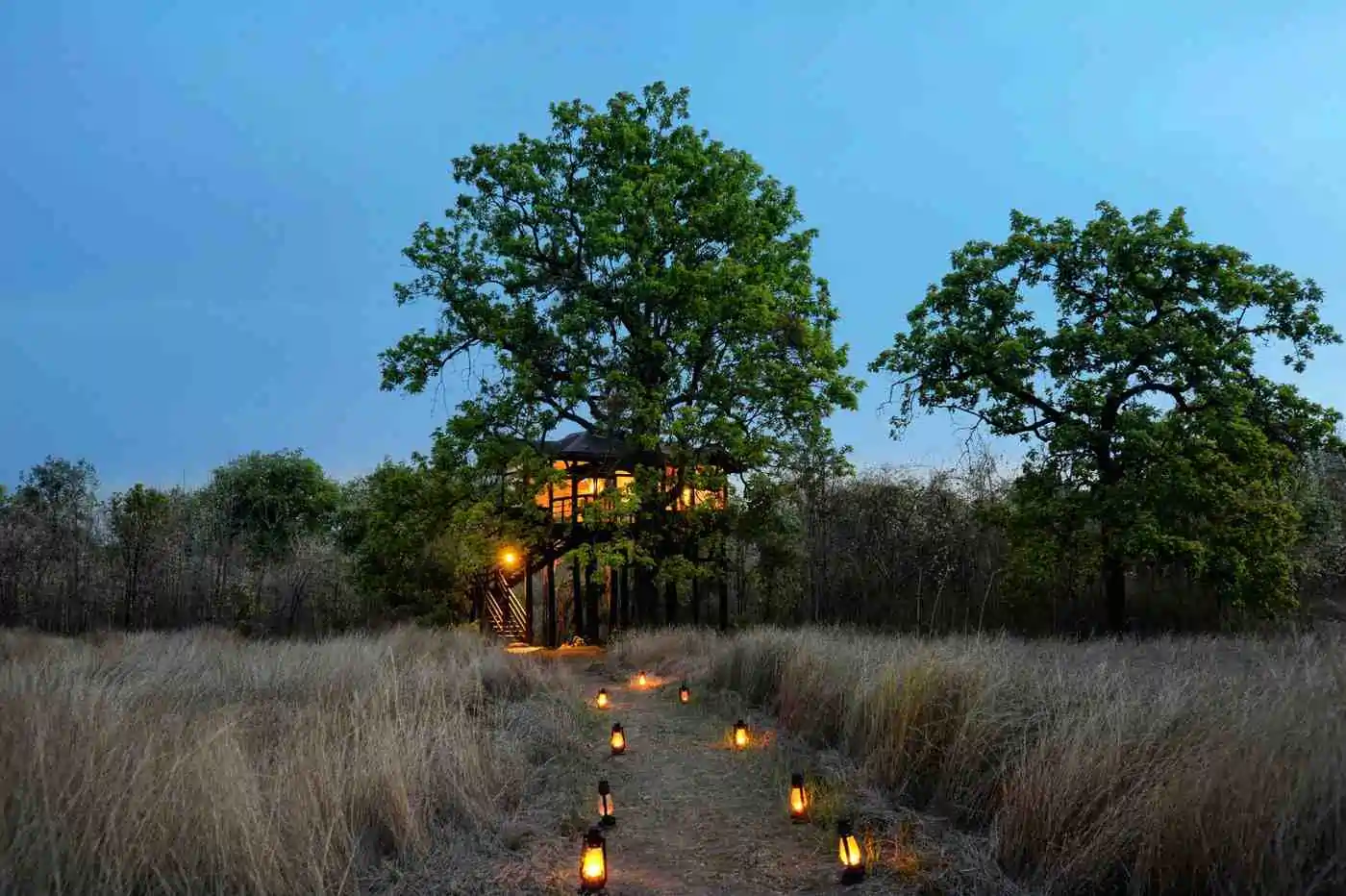 Outdoor dinner setup under a tree at Pench Tree Lodge