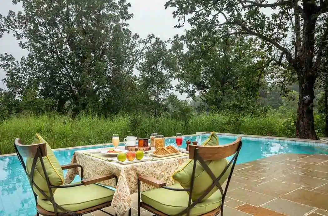 Poolside dining experience at Pench Tree Lodge