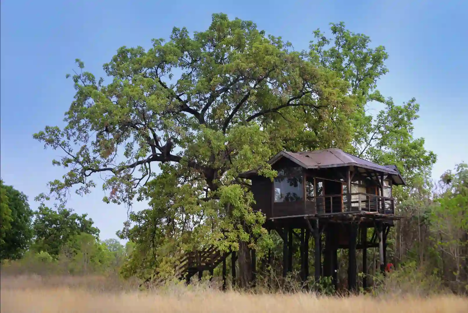 Tree house accommodation at Pench Tree Lodge