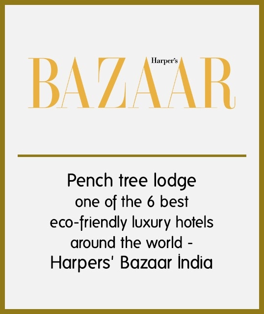 Awards in Pench
