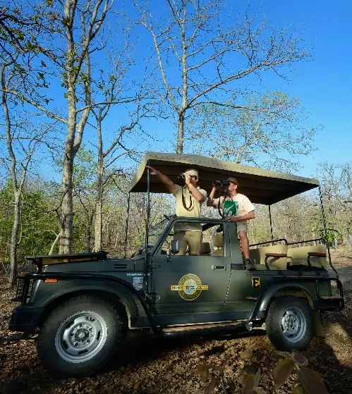 jeep safari