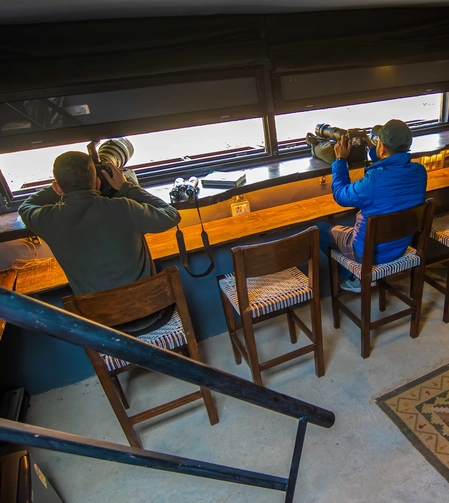 Wildlife Photography Hide