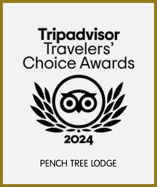 Awards in Pench