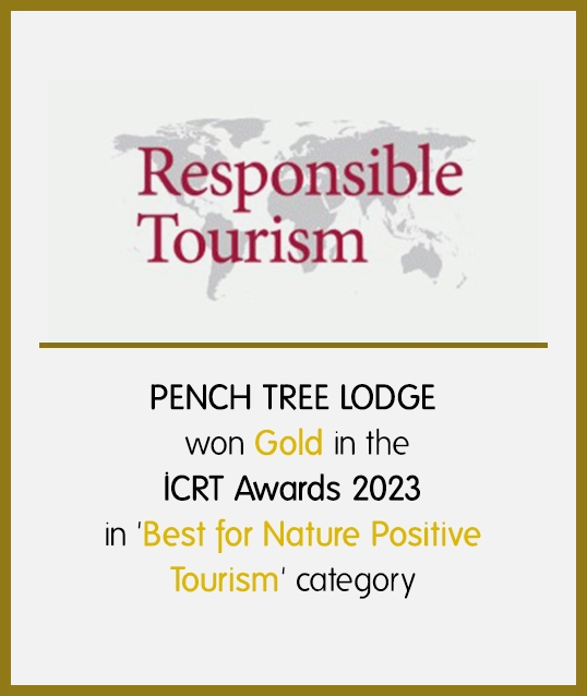 Awards in Pench