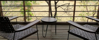 Pugdundee in Digital