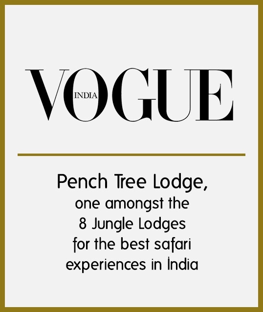 Awards in Pench